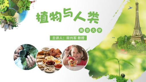 植物与人类