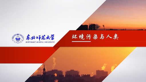 环境污染与人类