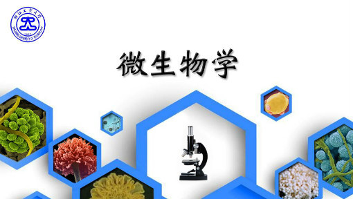 微生物学