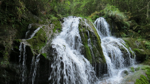 水文地质学基础