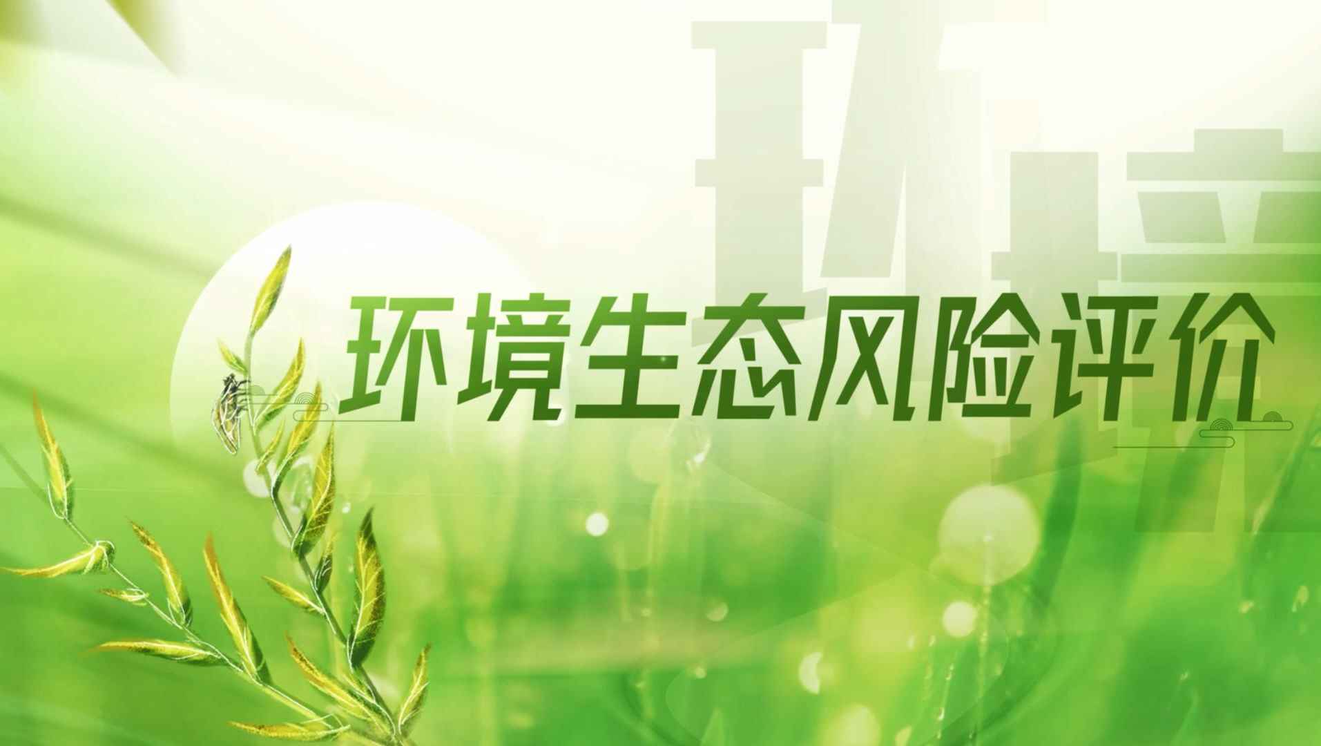 环境生态风险评价