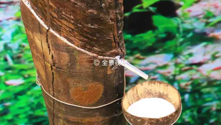 橡胶工艺学