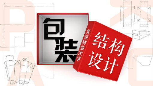 包装结构设计