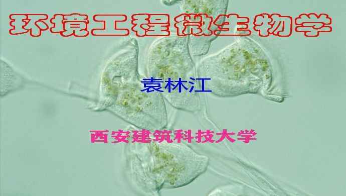 环境工程微生物学
