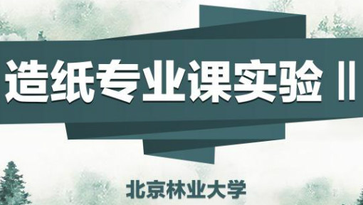 造纸专业课实验