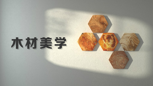木材美学