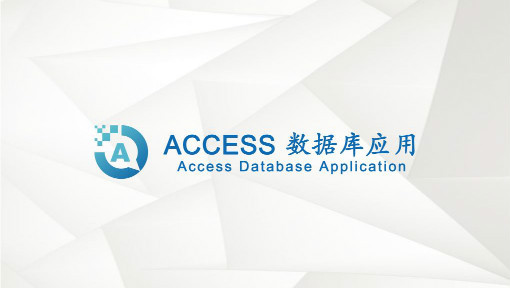 Access数据库应用