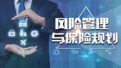 风险管理与保险规划