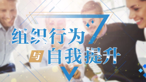 组织行为与自我提升