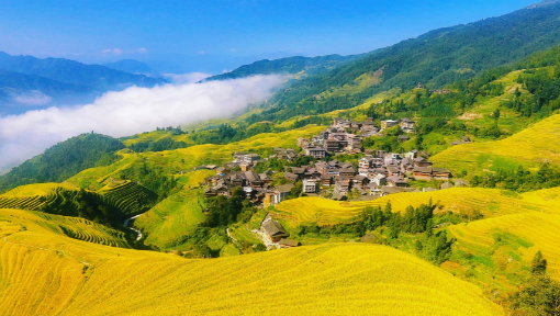中国土地制度