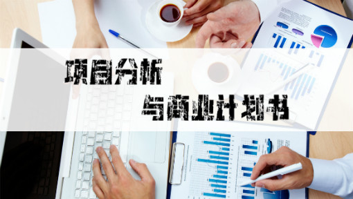 项目分析与商业计划书