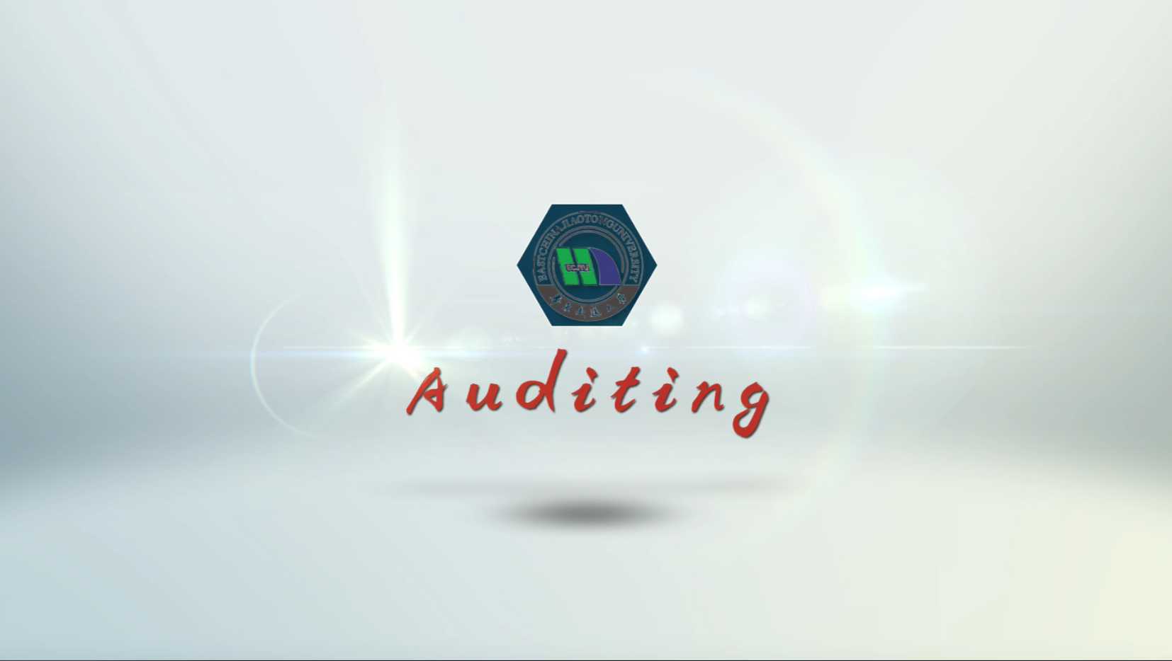 Auditing(审计学）