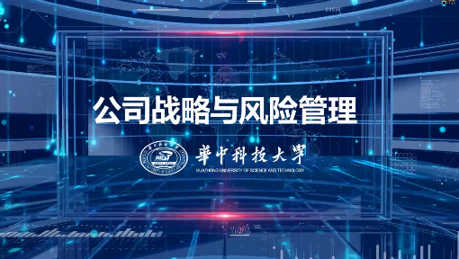 公司战略与风险管理