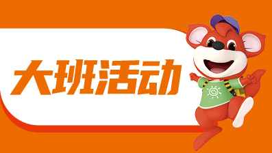 大班优秀活动