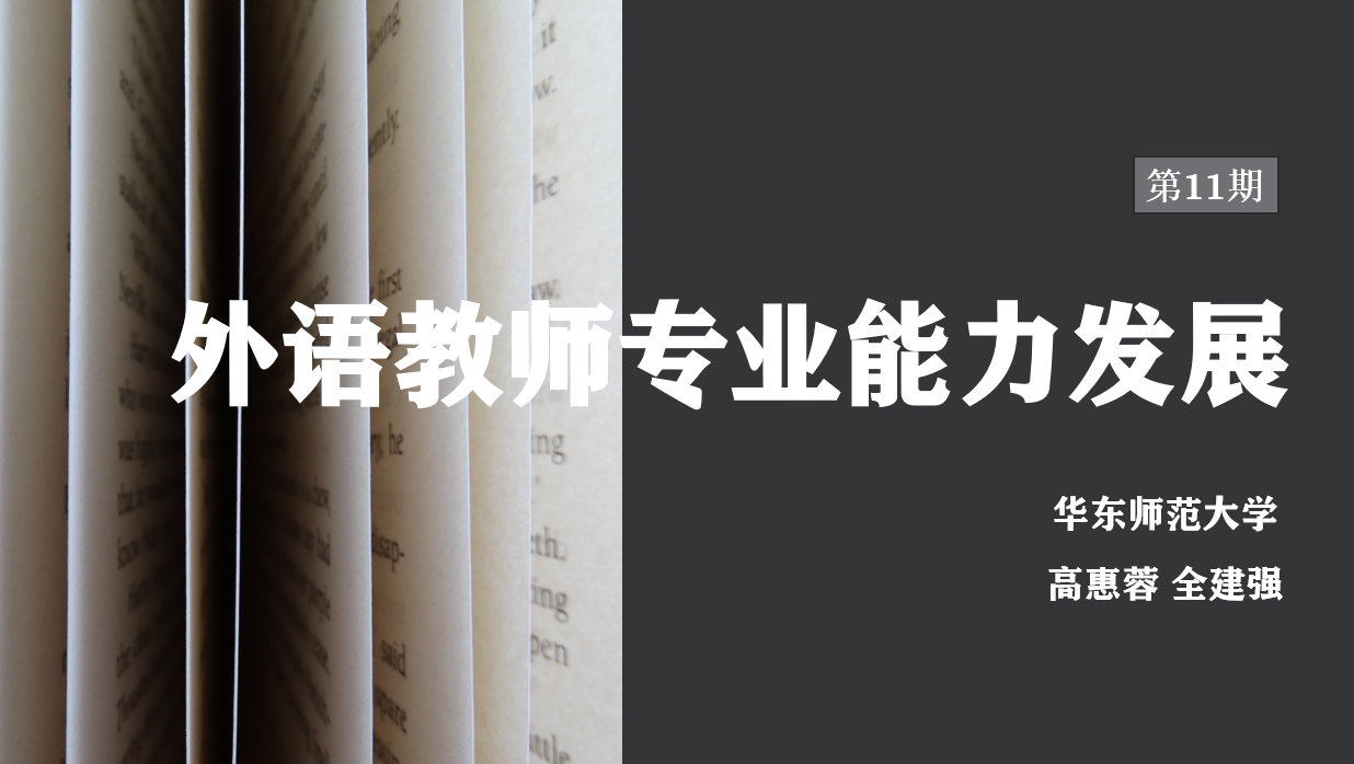 外语教师专业能力发展