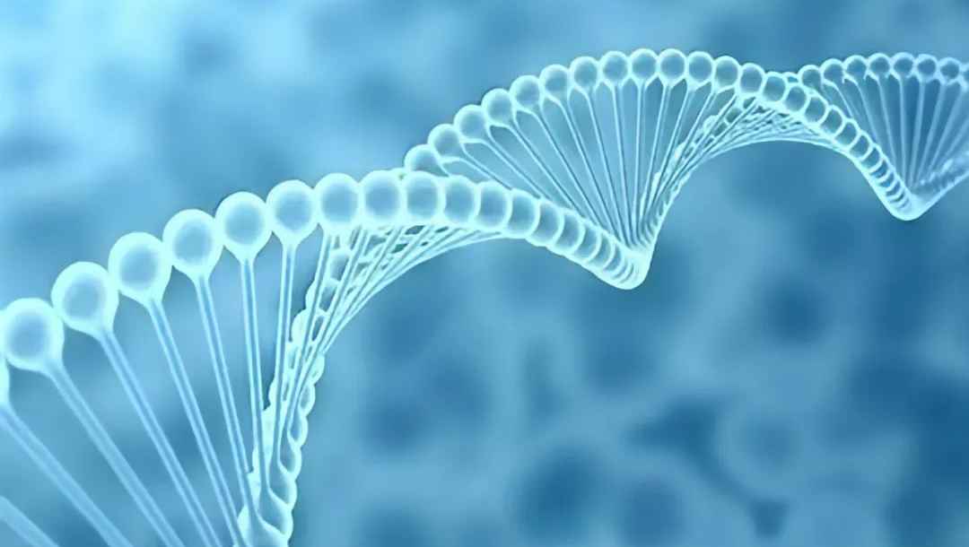 生物化学与分子生物学