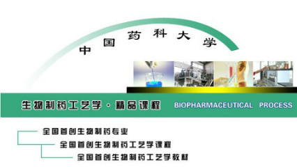 生物制药工艺学（技术与基础）